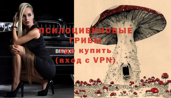 mdpv Горно-Алтайск