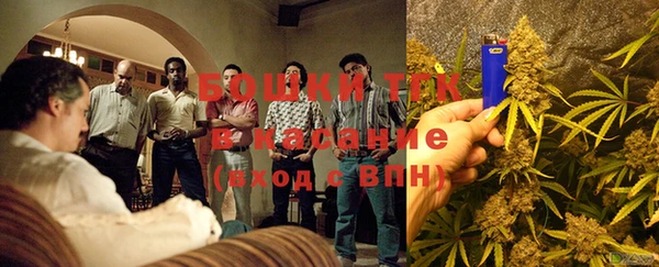 мдпв Вязьма