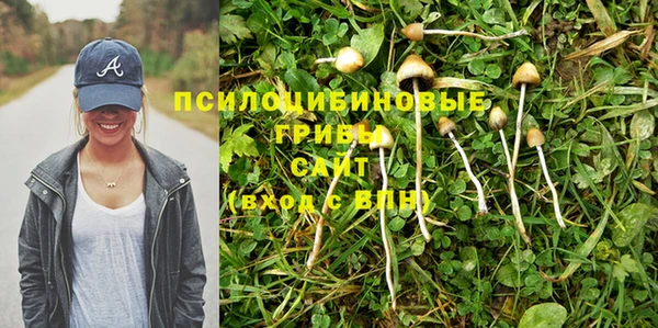 эйфоретик Горнозаводск