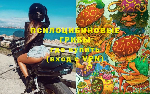 mdpv Вязники