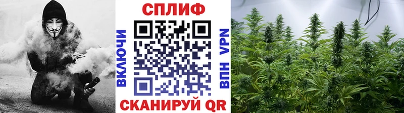 Каннабис THC 21%  Купить  Гусев 